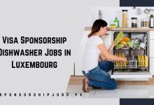 Visa Sponsorship Dishwasher Jobs in Luxembourg