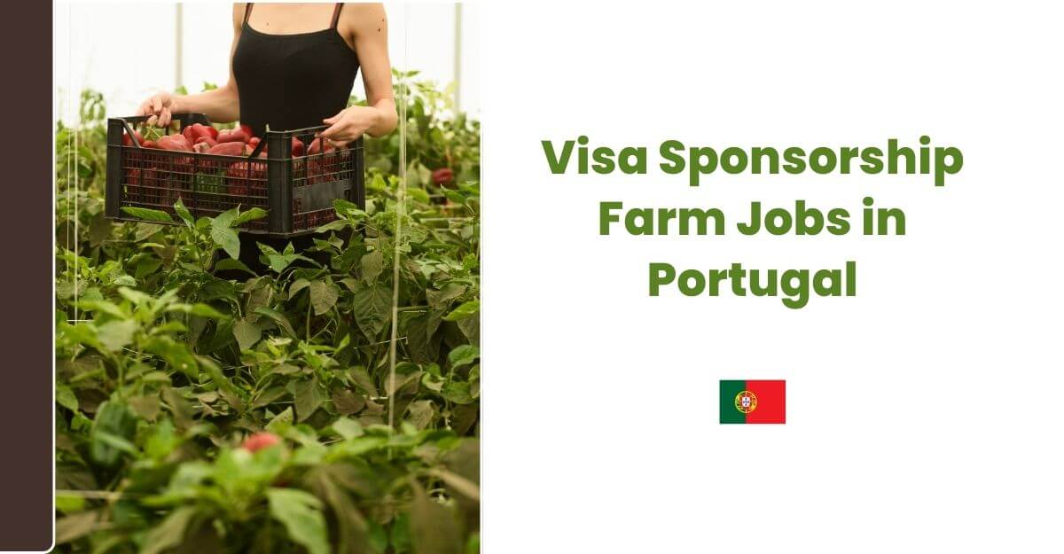 Visa Sponsorship Farm Jobs in Portugal