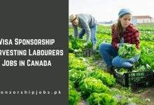 Visa Sponsorship Harvesting Labourers Jobs in Canada