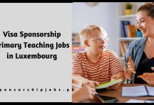 Visa Sponsorship Primary Teaching Jobs in Luxembourg