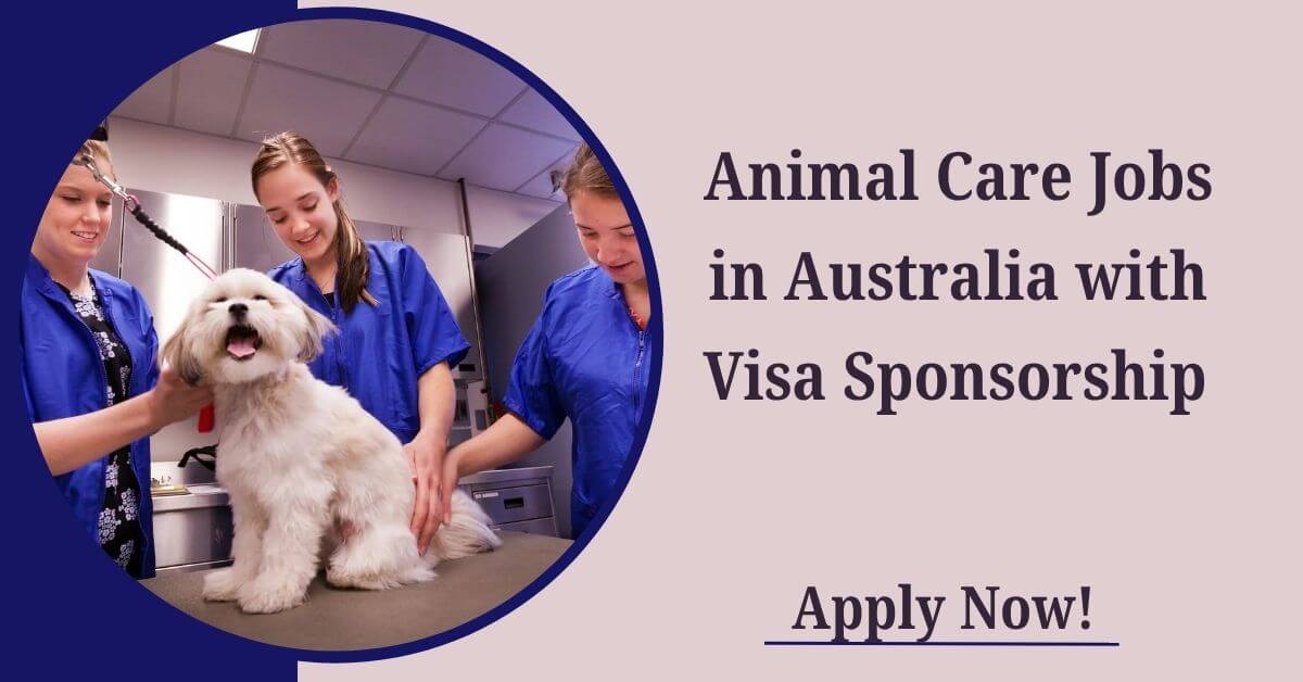 Animal Care Jobs in Australia with Visa Sponsorship