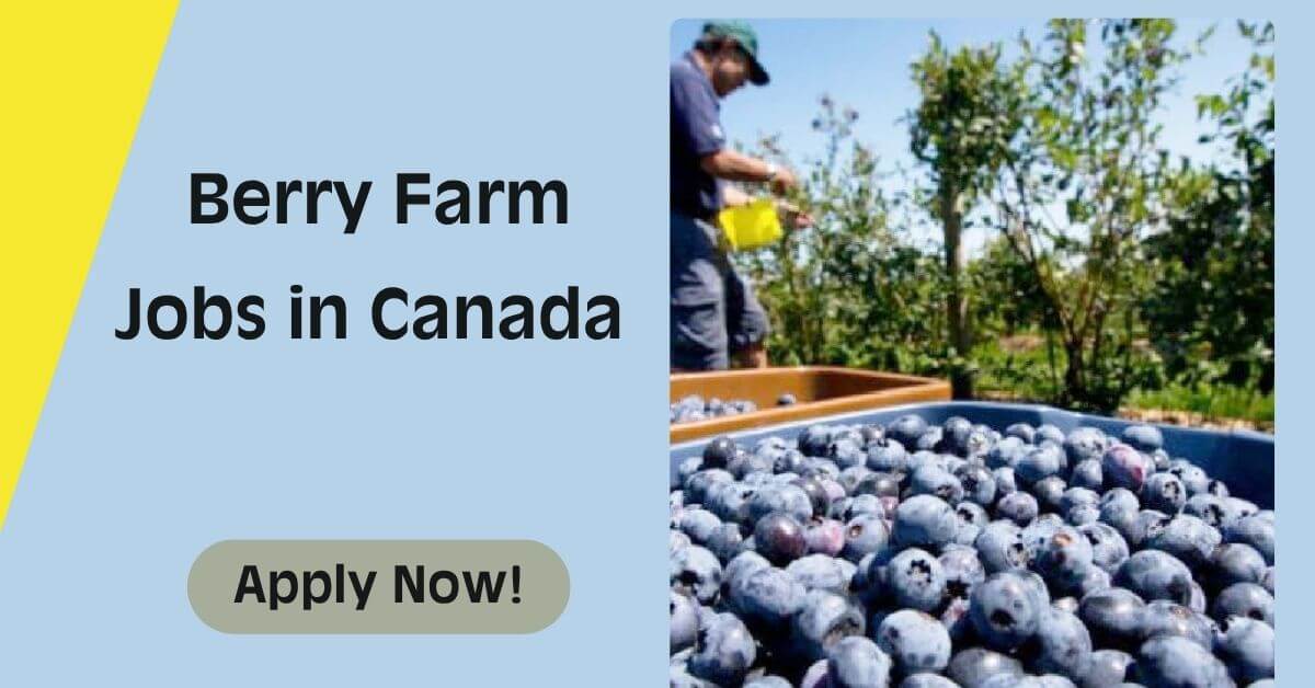 Berry Farm Jobs in Canada
