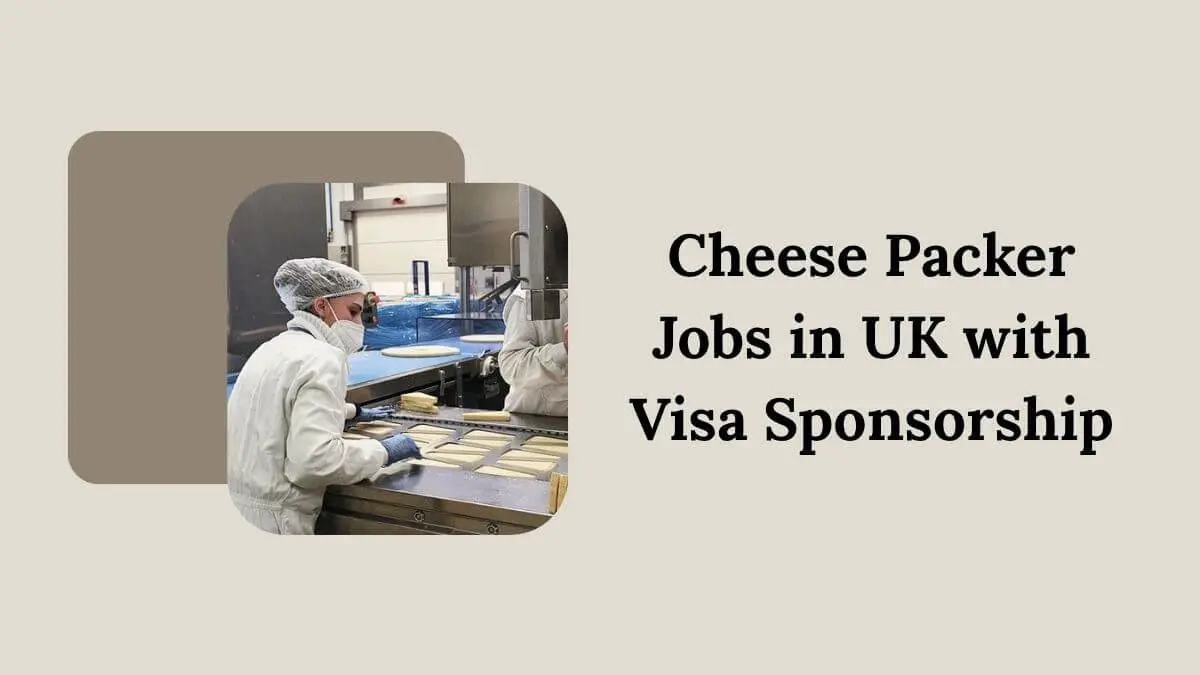 Cheese Packer Jobs in UK with Visa Sponsorship
