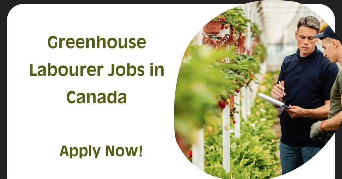 Greenhouse Labourer Jobs in Canada