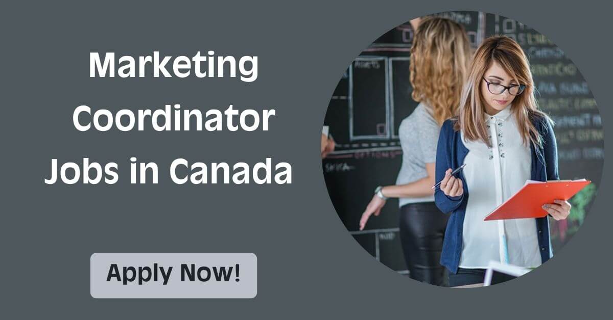 Marketing Coordinator Jobs in Canada