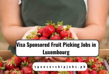 Visa Sponsored Fruit Picking Jobs in Luxembourg