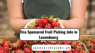 Visa Sponsored Fruit Picking Jobs in Luxembourg