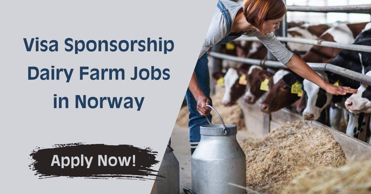 Visa Sponsorship Dairy Farm Jobs in Norway