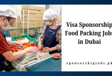 Visa Sponsorship Food Packing Jobs in Dubai