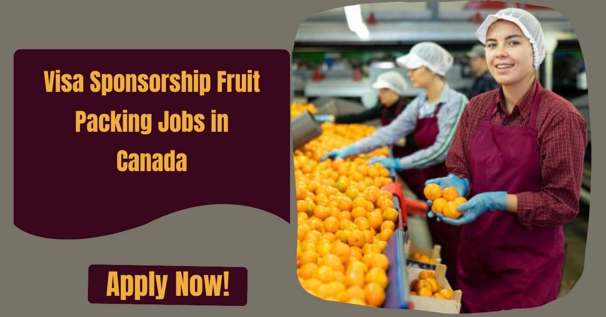 Visa Sponsorship Fruit Packing Jobs in Canada