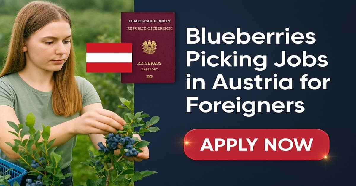 Blueberries Picking Jobs in Austria for Foreigners