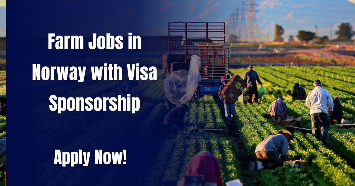 Farm Jobs in Norway with Visa Sponsorship