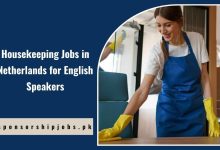 Housekeeping Jobs in Netherlands for English Speakers