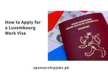 How to Apply for a Luxembourg Work Visa