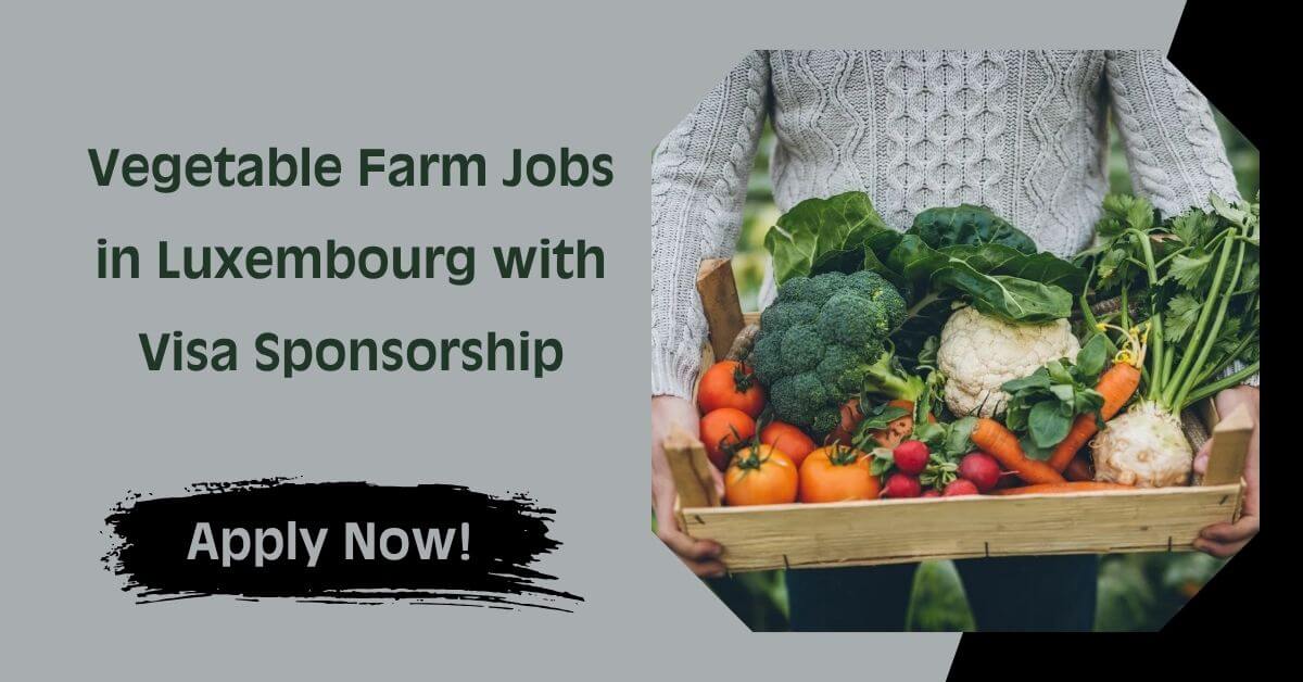 Vegetable Farm Jobs in Luxembourg with Visa Sponsorship