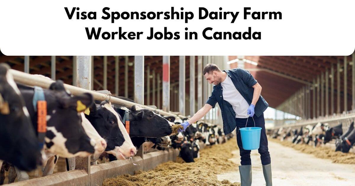 Visa Sponsorship Dairy Farm Worker Jobs in Canada