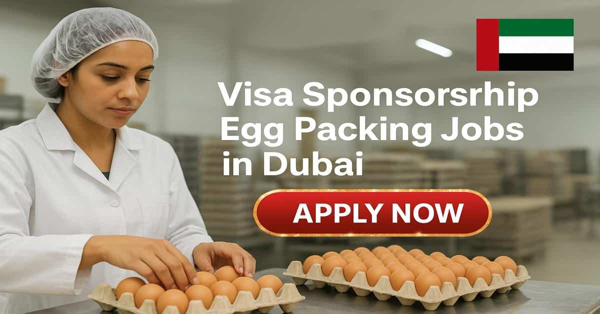 Visa Sponsorship Egg Packing Jobs in Dubai