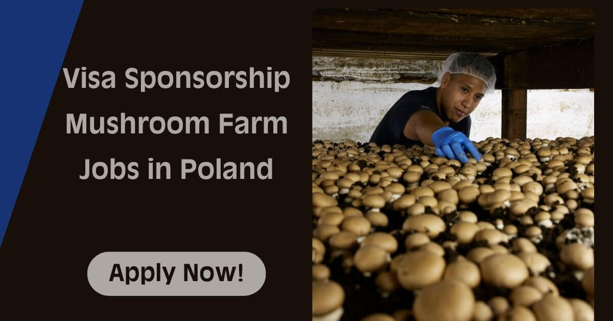 Visa Sponsorship Mushroom Farm Jobs in Poland