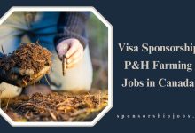 Visa Sponsorship P&H Farming Jobs in Canada