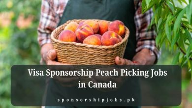 Visa Sponsorship Peach Picking Jobs in Canada