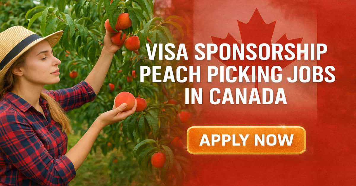 Visa Sponsorship Peach Picking Jobs in Canada