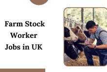 Farm Stock Worker Jobs in UK