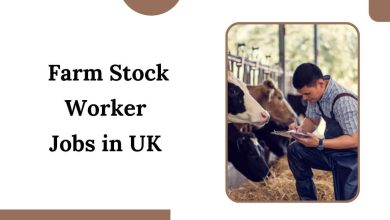 Farm Stock Worker Jobs in UK