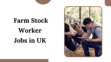 Farm Stock Worker Jobs in UK