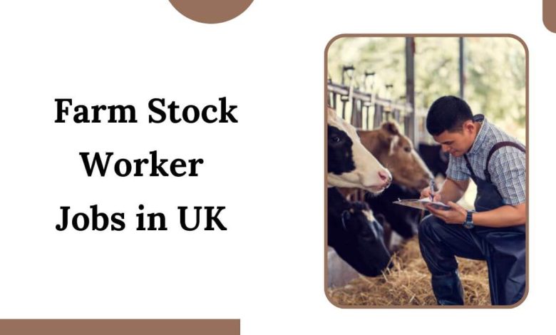 Farm Stock Worker Jobs in UK