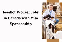 Feedlot Worker Jobs in Canada with Visa Sponsorship
