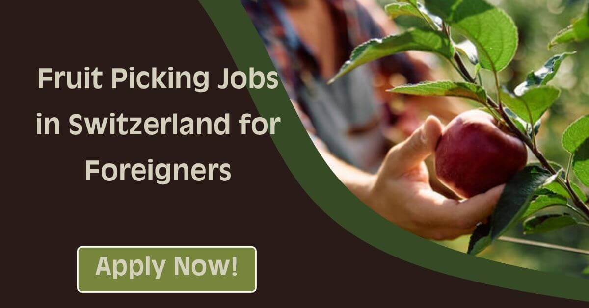 Fruit Picking Jobs in Switzerland for Foreigners