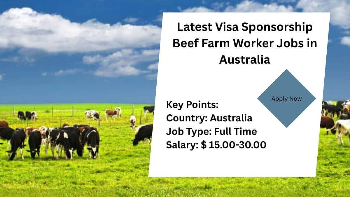 Latest Visa Sponsorship Beef Farm Worker Jobs in Australia
