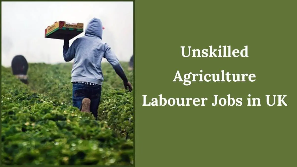 Unskilled Agriculture Labourer Jobs in UK