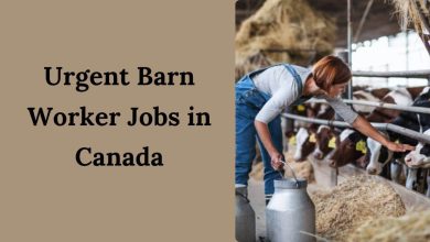 Urgent Barn Worker Jobs in Canada