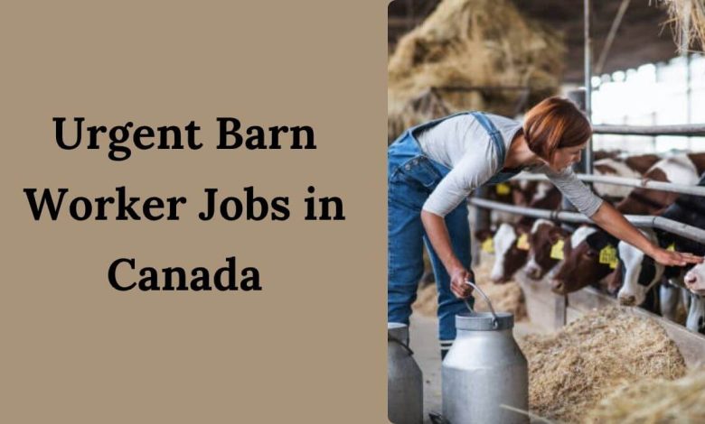Urgent Barn Worker Jobs in Canada
