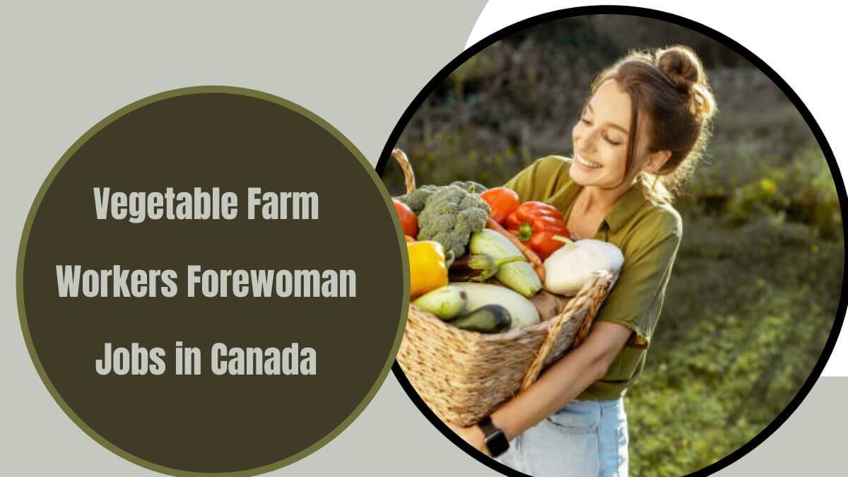 Vegetable Farm Workers Forewoman Jobs in Canada