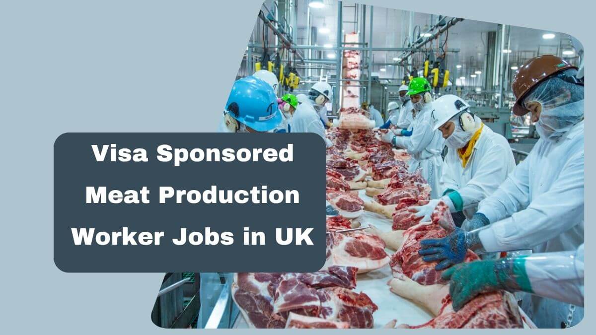 Visa Sponsored Meat Production Worker Jobs in UK