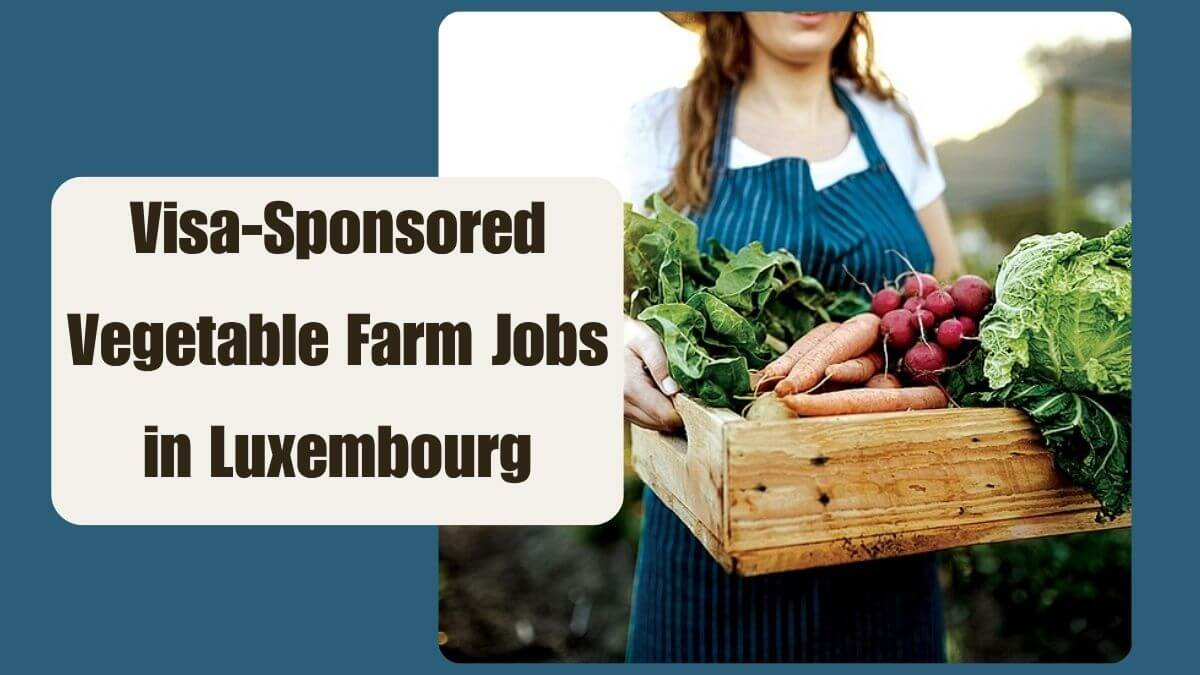 Visa-Sponsored Vegetable Farm Jobs in Luxembourg