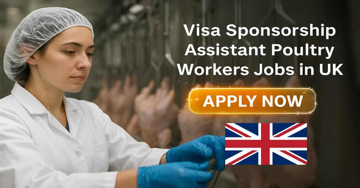 Visa Sponsorship Assistant Poultry Workers Jobs in UK