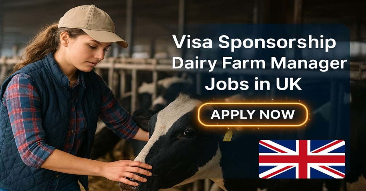 Visa Sponsorship Dairy Farm Manager Jobs in UK