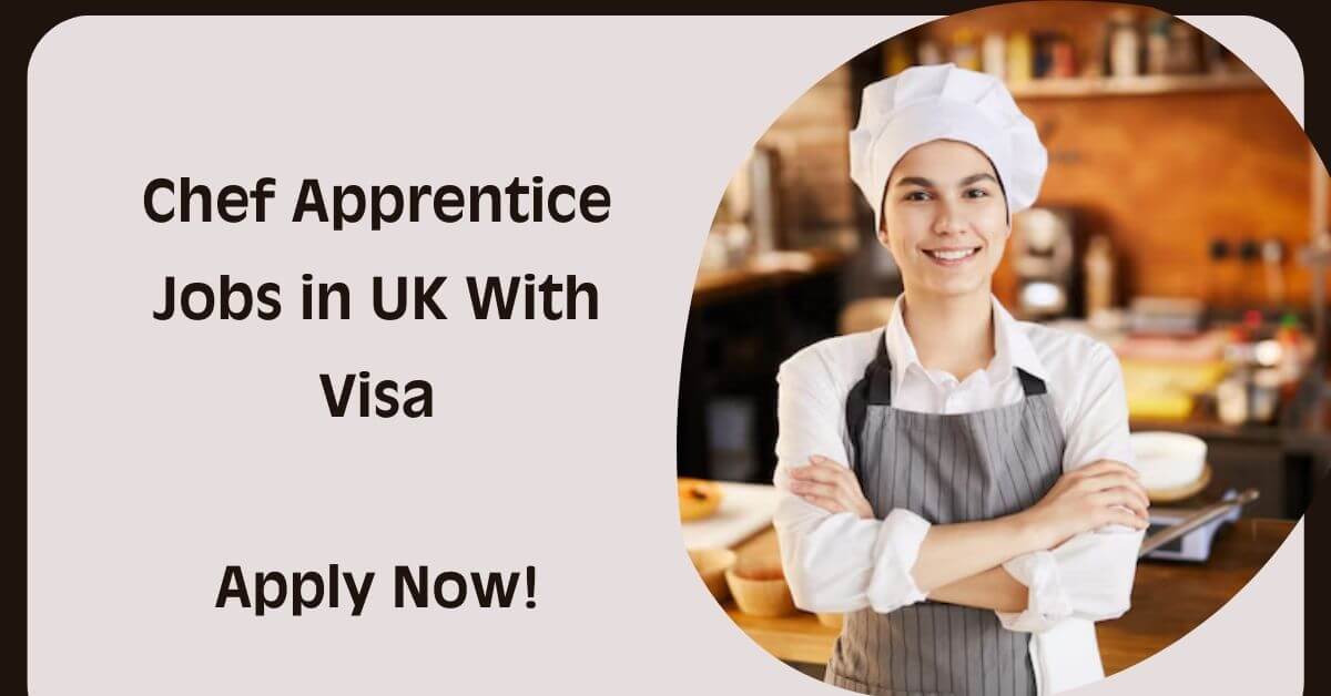Chef Apprentice Jobs in UK With Visa