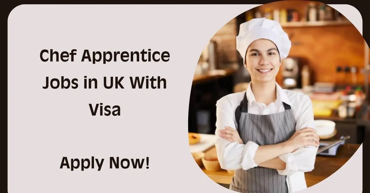 Chef Apprentice Jobs in UK With Visa